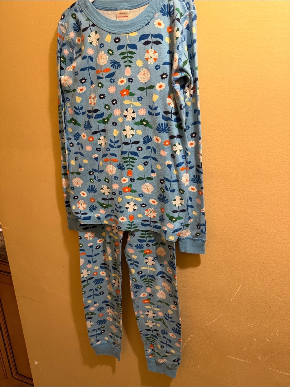 Hanna Andersson Kids Blue Floral Long-Sleeve Pajama Set